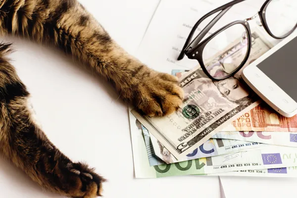 Forbes Just Put a Number on What Your Clients' Dogs Actually Cost. They Had No Idea.