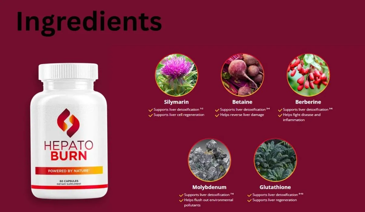 hepato burn ingredients 