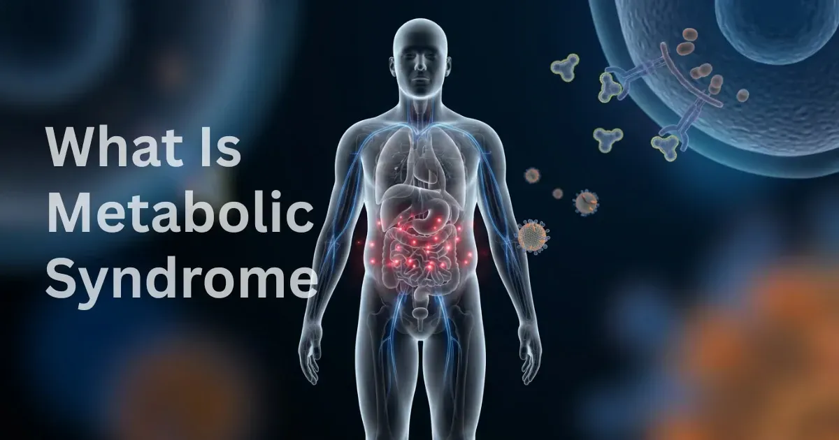 The Food Pyramid Was Wrong - And It Made America Sick - MAP30 Challenge