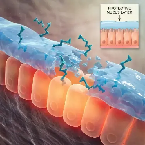 Holographic display showing the human brain's neurochemical reward system activated by sugar and stimulants in the nucleus accumbens.