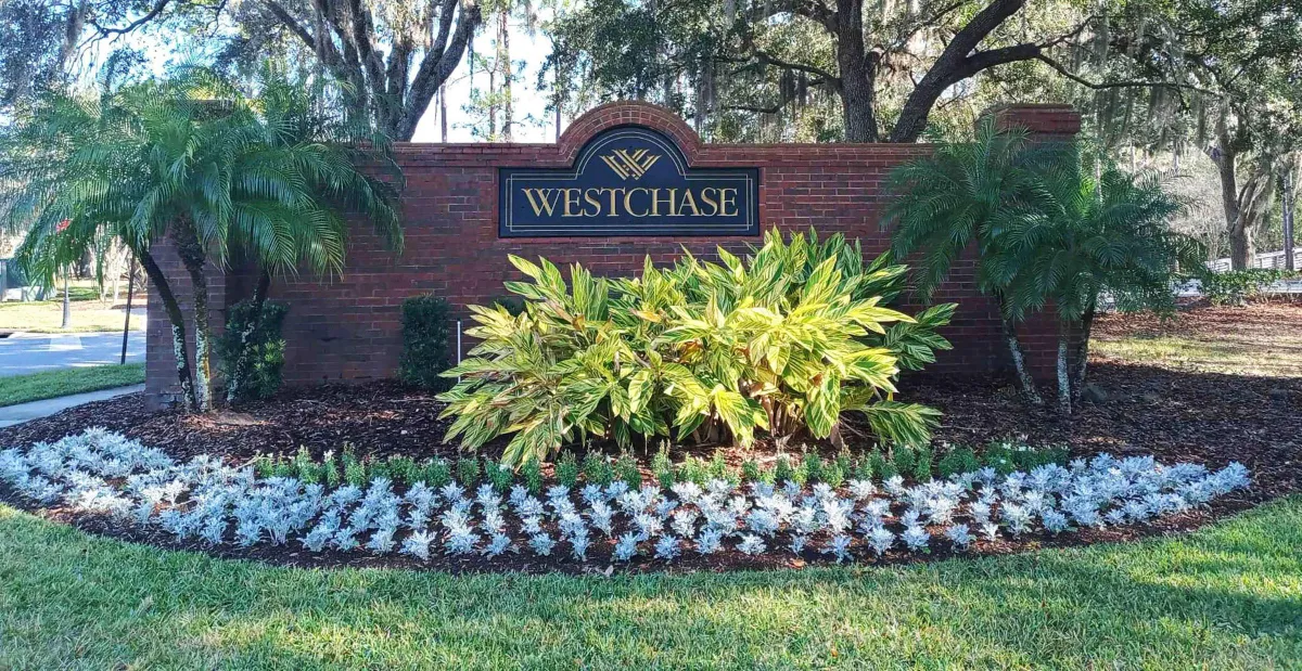 Roofing crew installing HOA-approved shingles in Westchase Tampa
