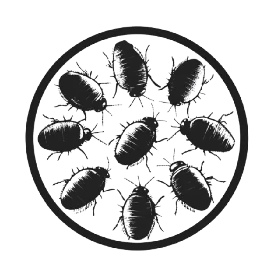 Pillbugs inside a circle