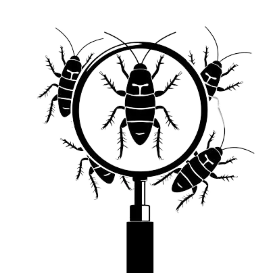 Roaches underneath a magnifier