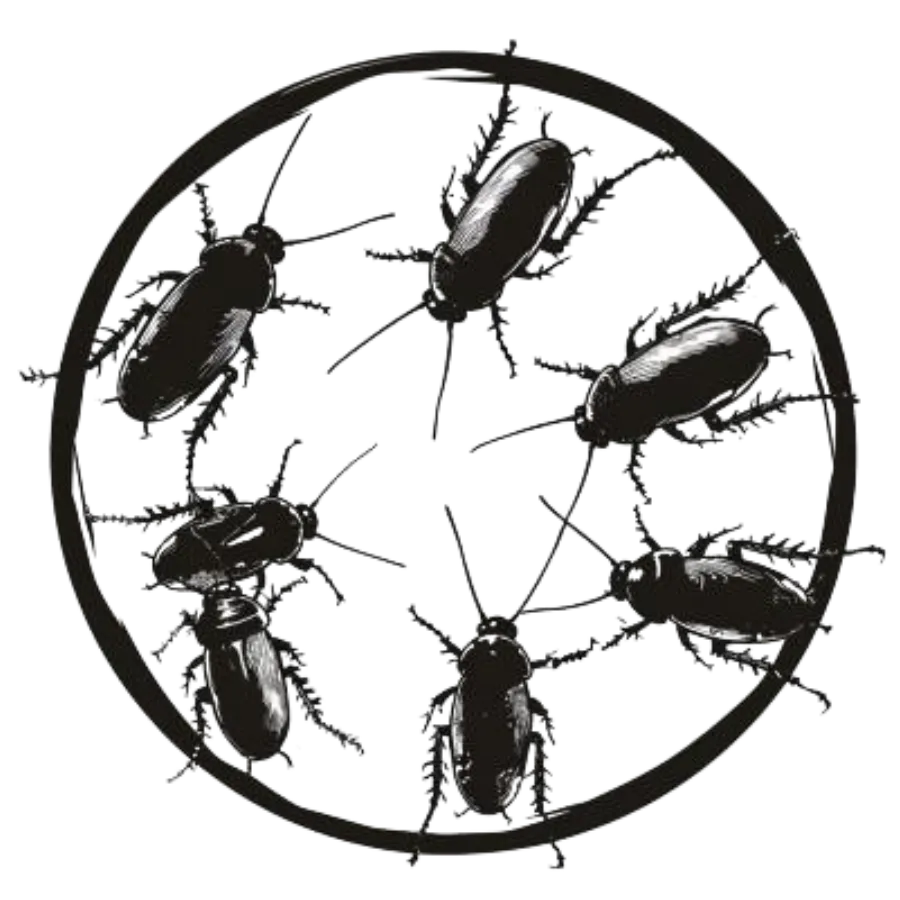 Roaches inside a circle