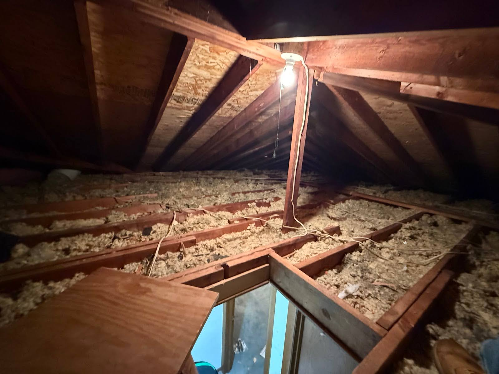 attic cleanout after