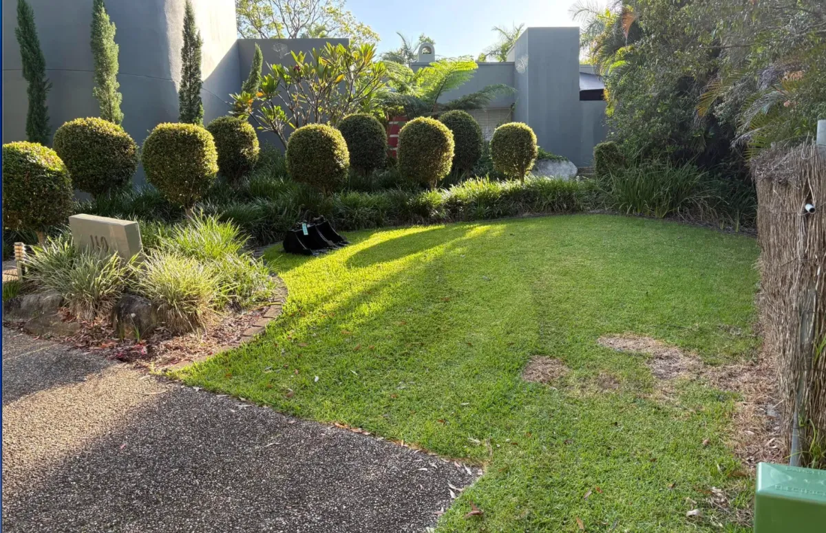 {{ custom_values.service_1 }} in {{custom_values.biz_area_1})
