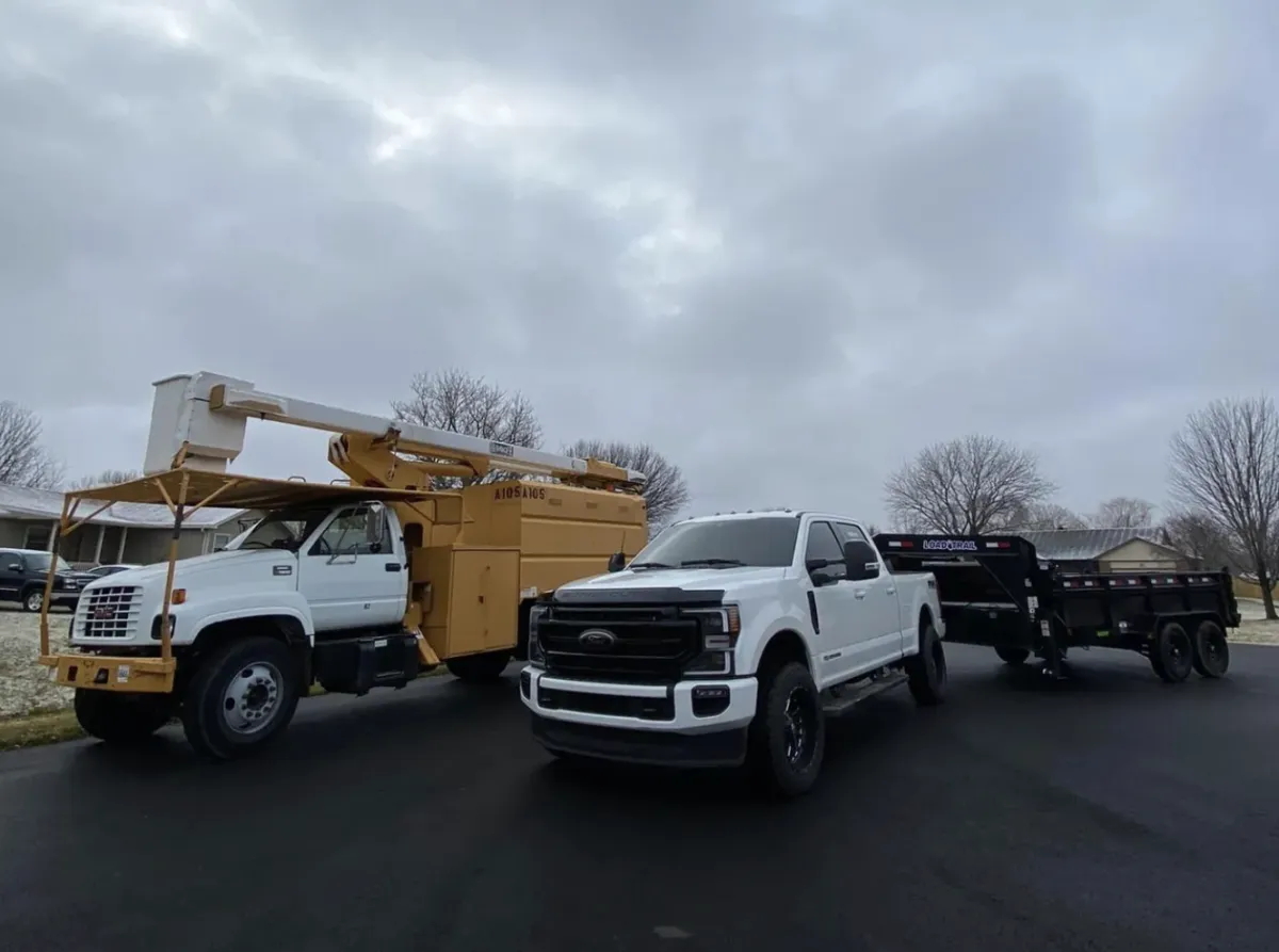 Tree Removal in Augusta
