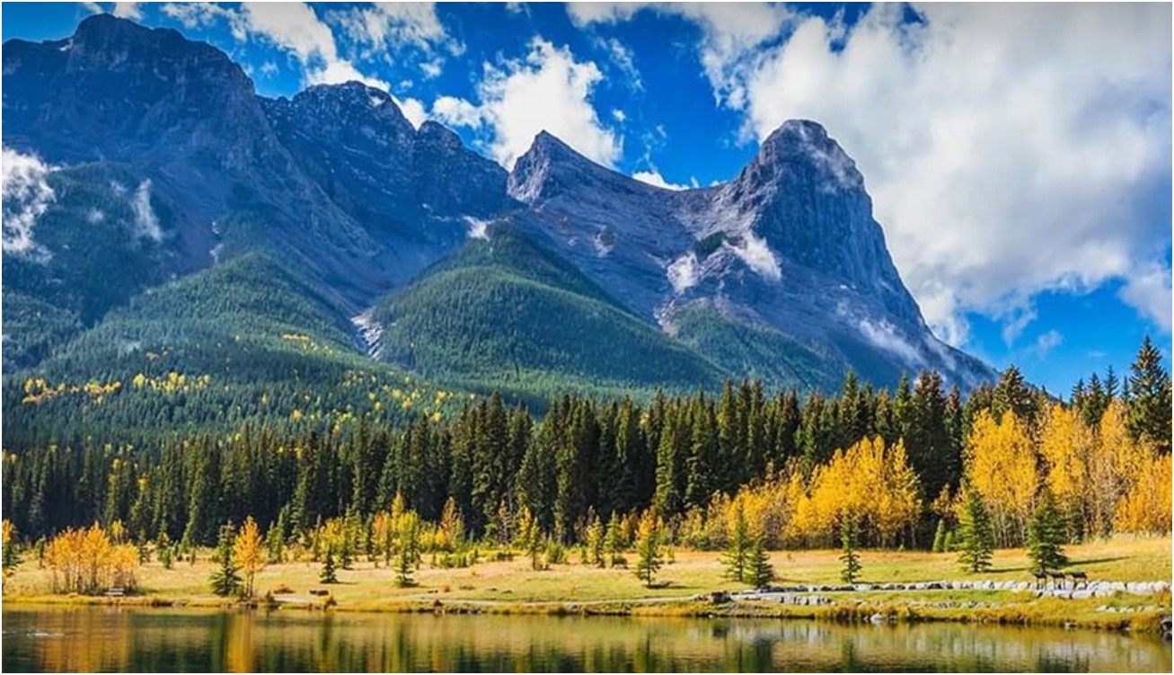 Amerispec Energy Audits for Clean Energy Improvement Program