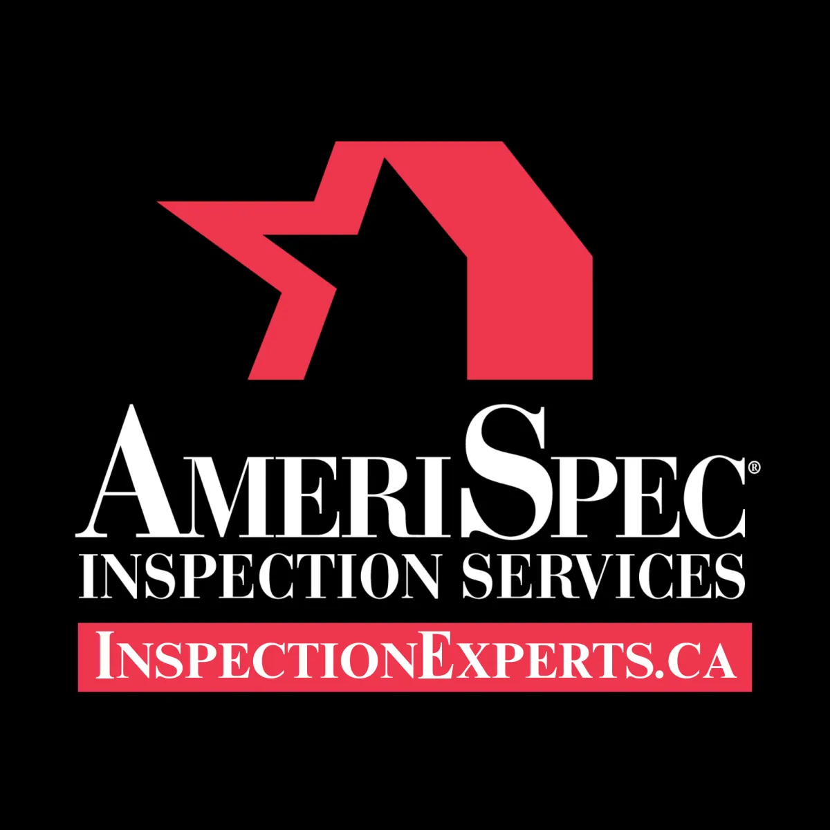 InspectionExperts.ca logo – Certified Calgary Home Inspectors | “We Inspect To Protect”