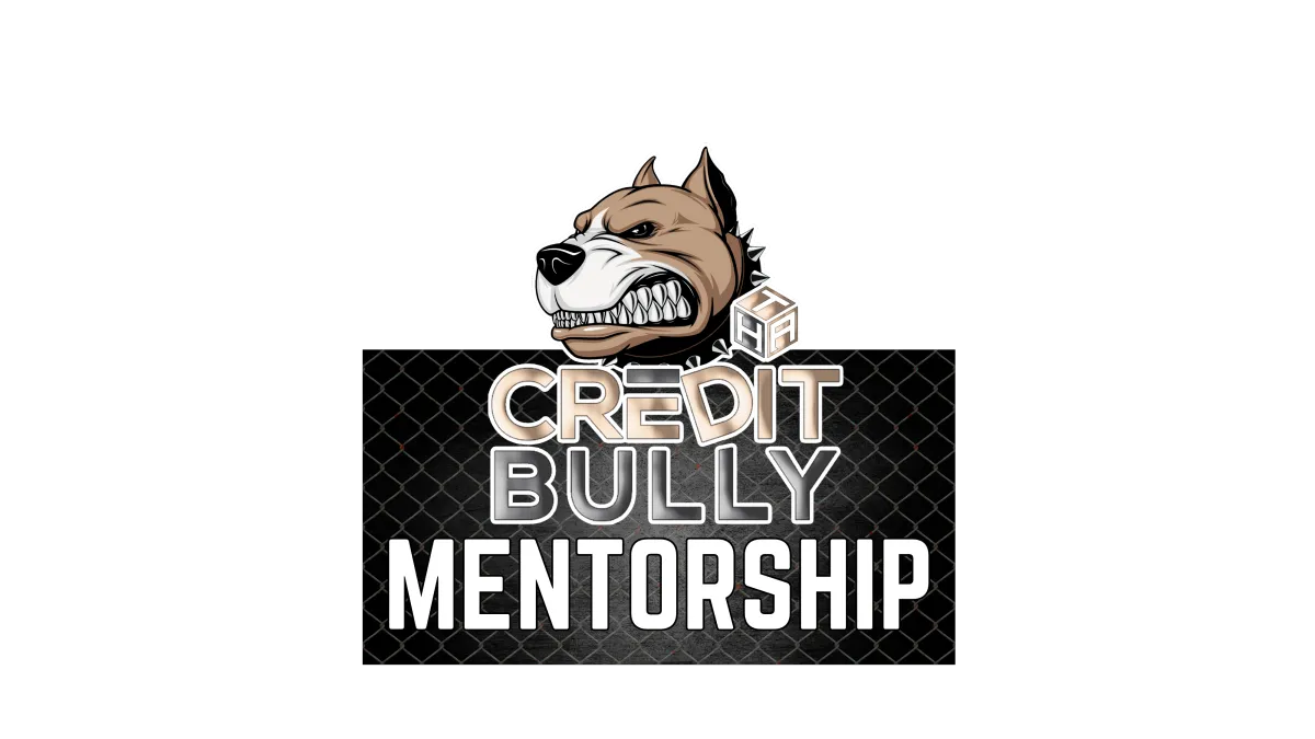 Credit Bully Mentorship