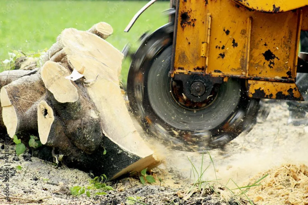 stump grinding