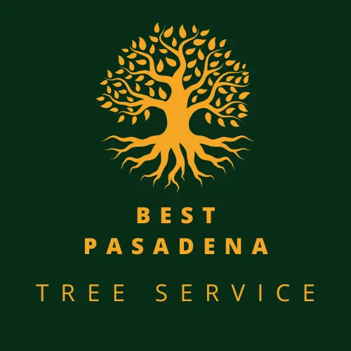 Best Pasadena Tree Service - 