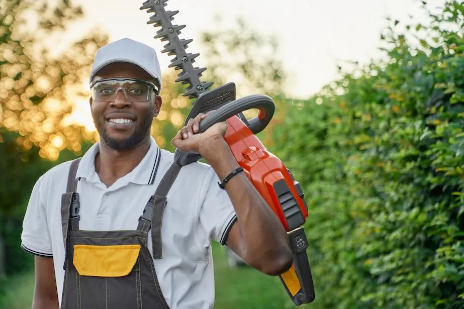 Tree Trimming and Tree Pruning