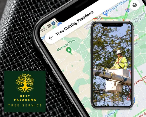 best pasadena tree service map