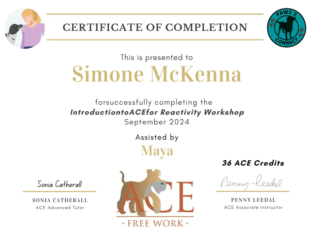 Dog Trainer Santa Cruz