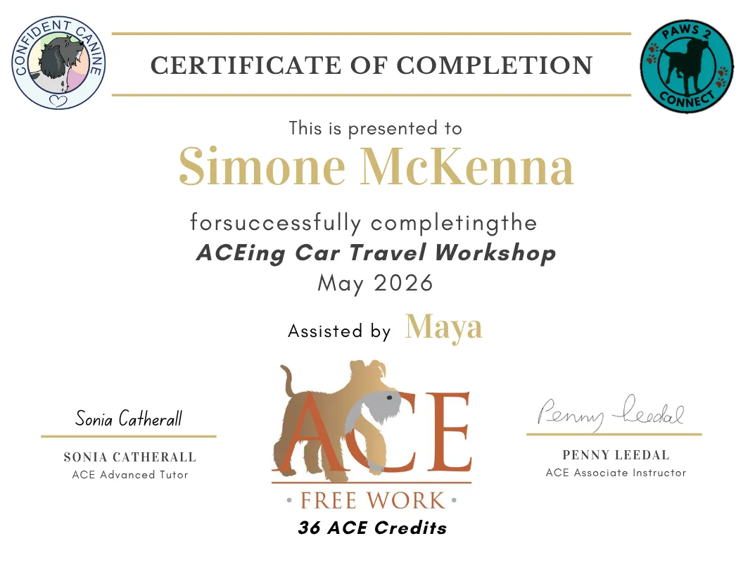 Dog Trainer Santa Cruz