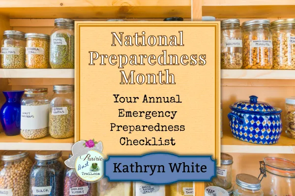 Annual Emergency Preparedness Checklist + Free Printable Inventory