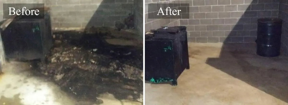 dumpster pad washed in montalba tx