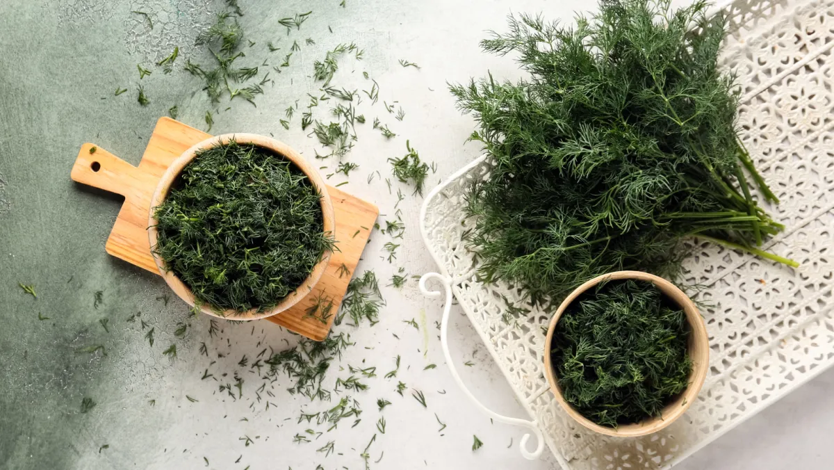 Adaptogens Explained