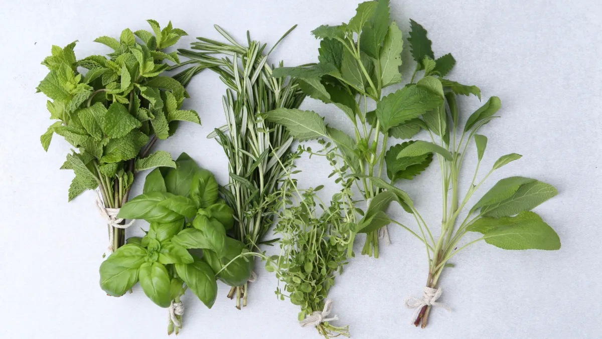 What Happens in an Herbal Consultation (and Why Custom Formulas Matter)