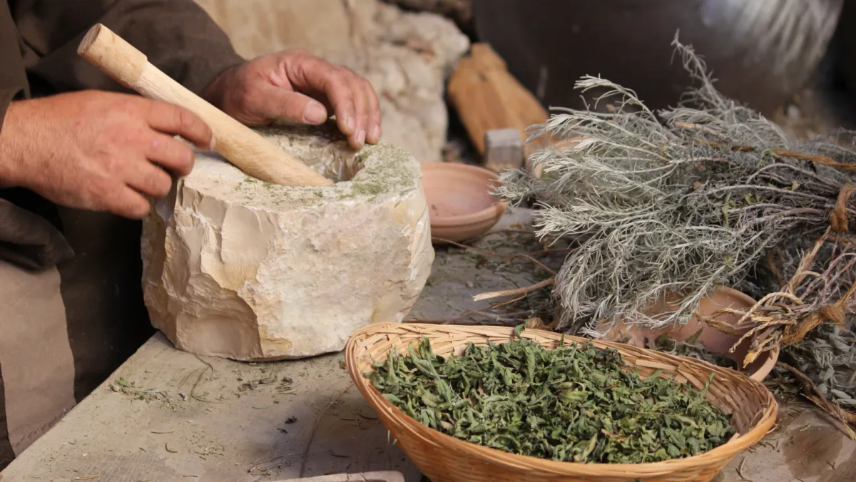 Whole Herb vs. Extract: Why Turmeric Isn’t the Same as Curcumin