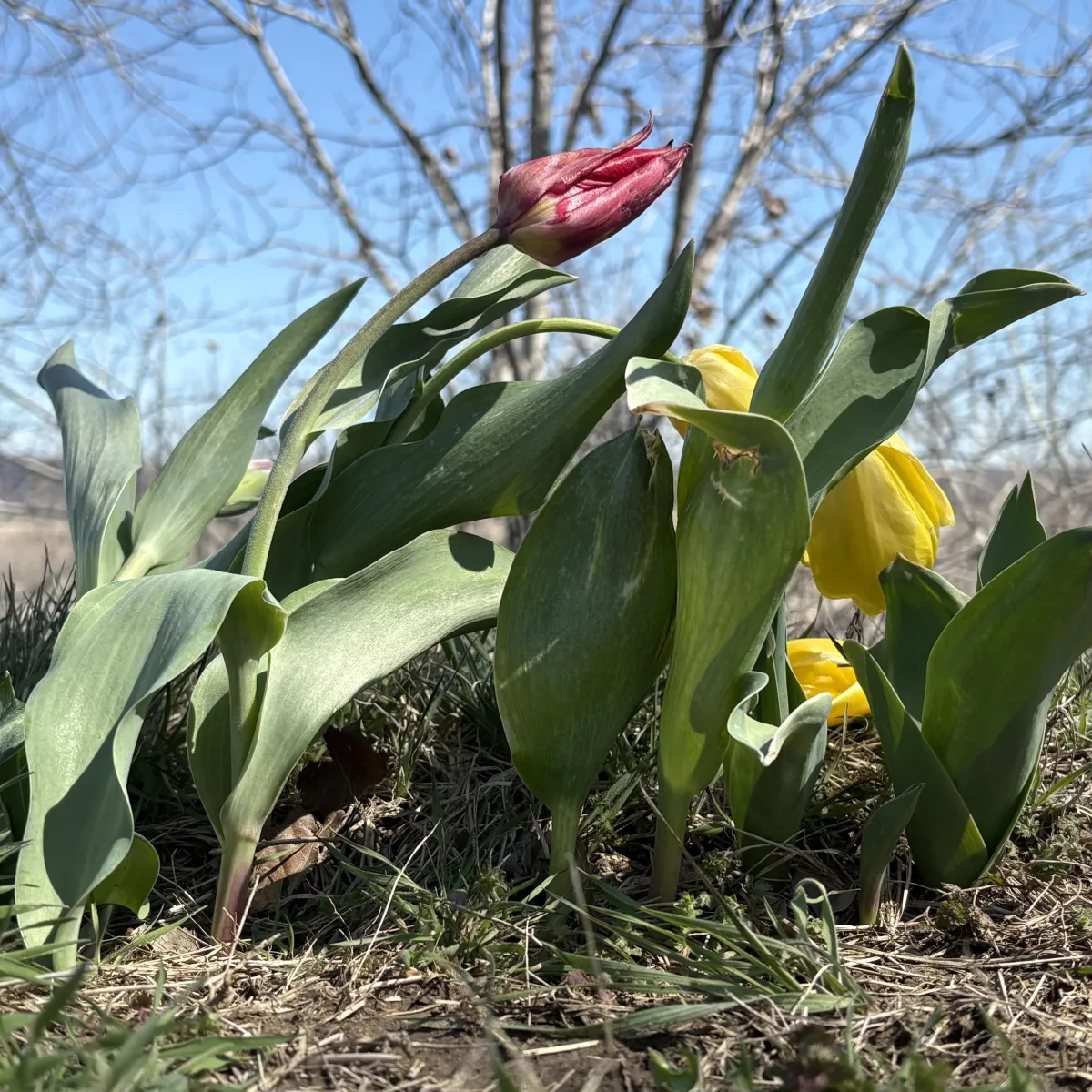 Punctuation is Overrated