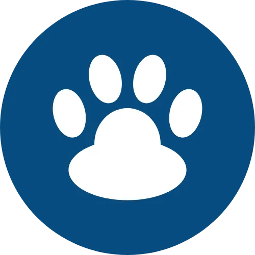 pet exams and veterinarian Grand Junction