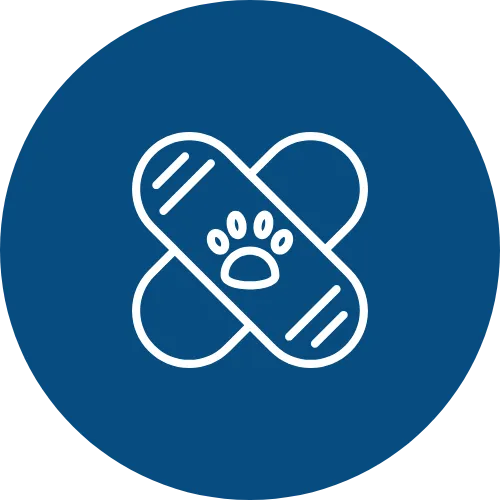 sick pets and animals Grand Junction