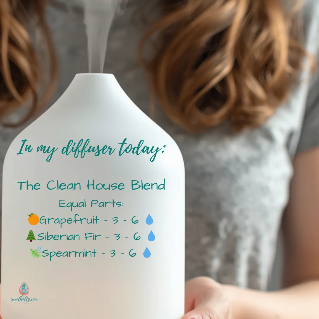 The Clean Home Diffuser Blend