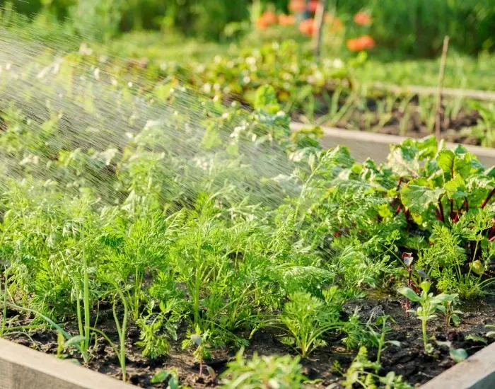 Garden Bed Maintenance in Harwich