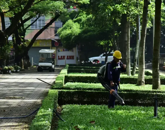 Plant Care & Upkeep in Harwich