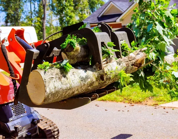 Garden Bed Maintenance in Harwich