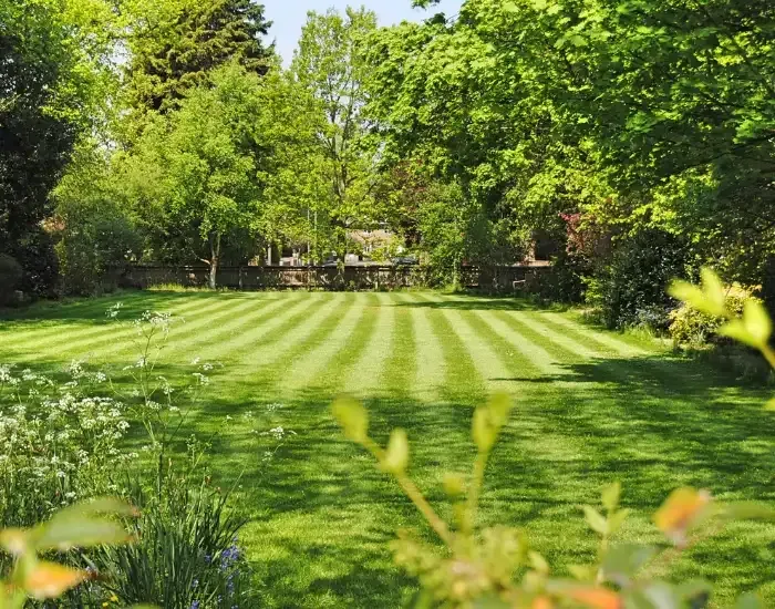 Weed Control Harwich