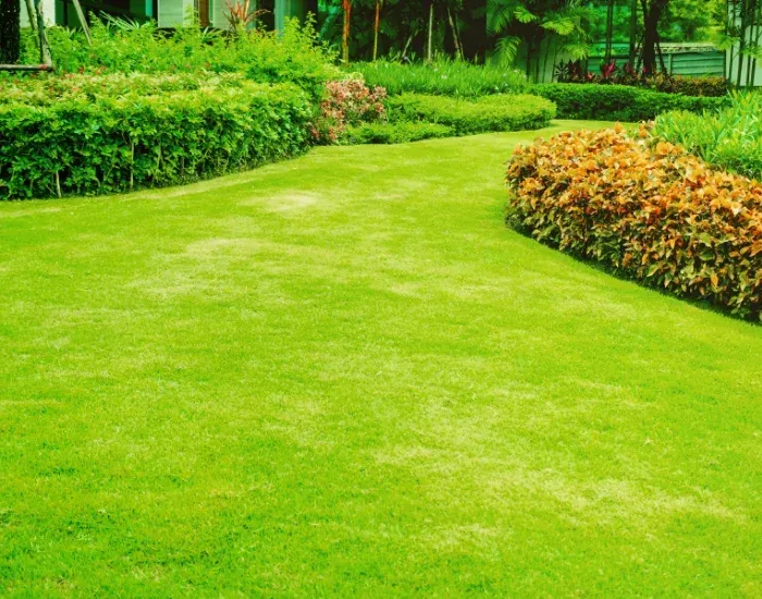 Garden Bed Maintenance Harwich