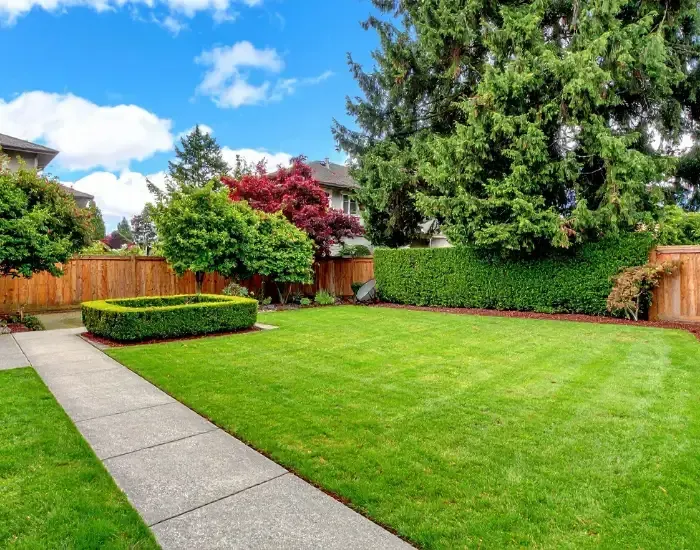 Leaf Removal Harwich