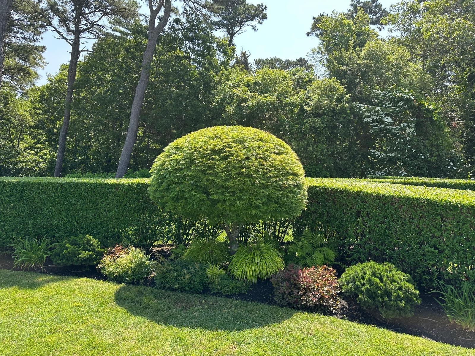 Lawn Mowing Harwich