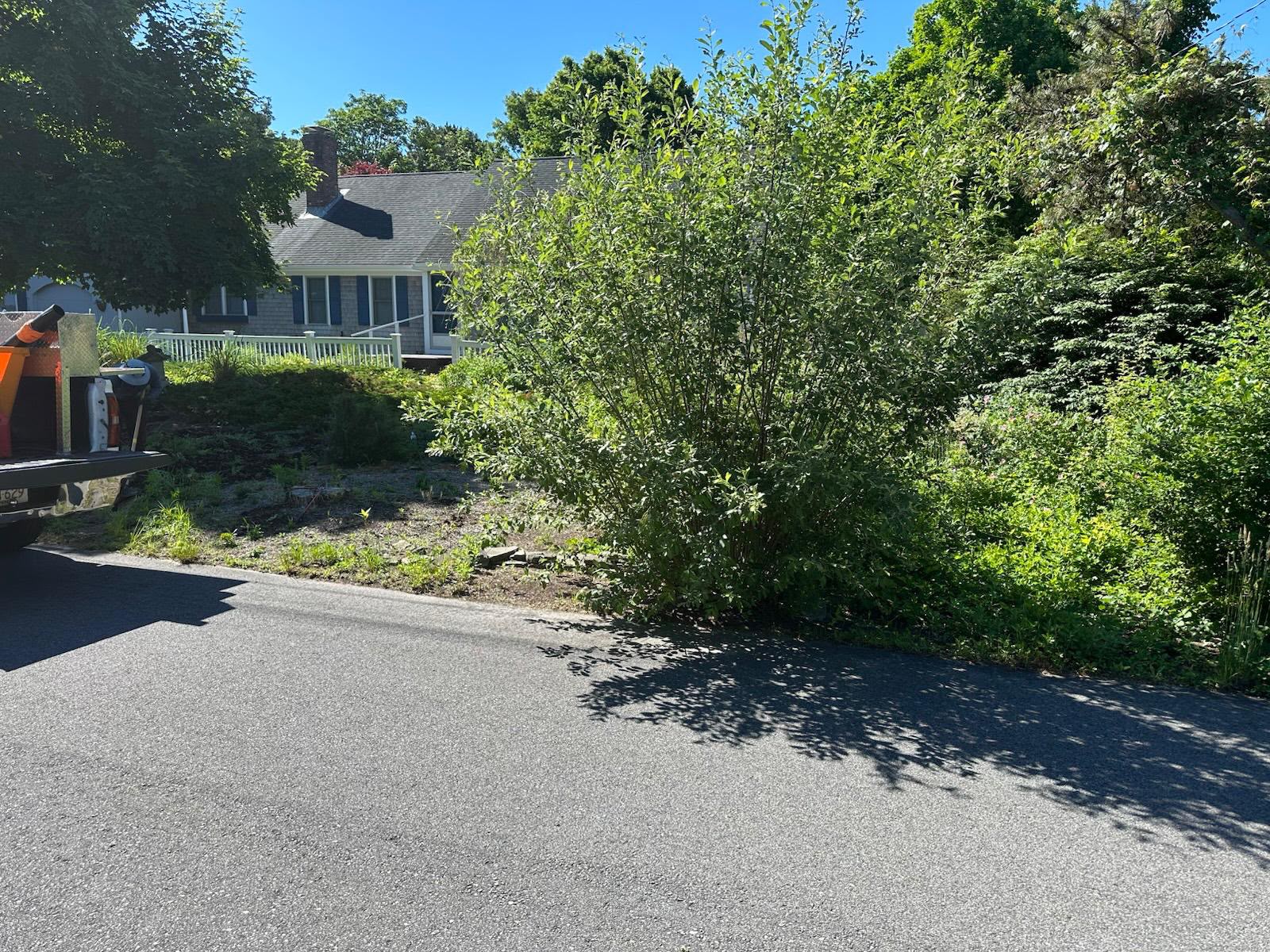 Weed Control Harwich