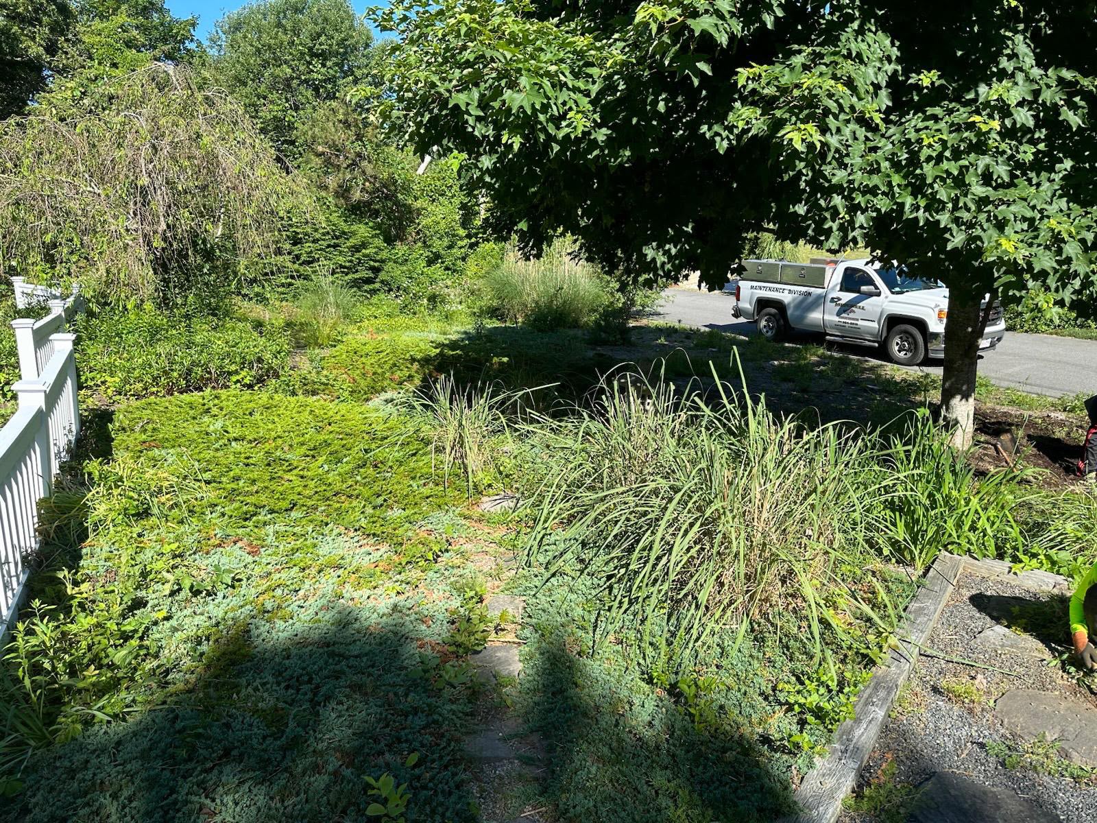 Lawn Fertilization Harwich