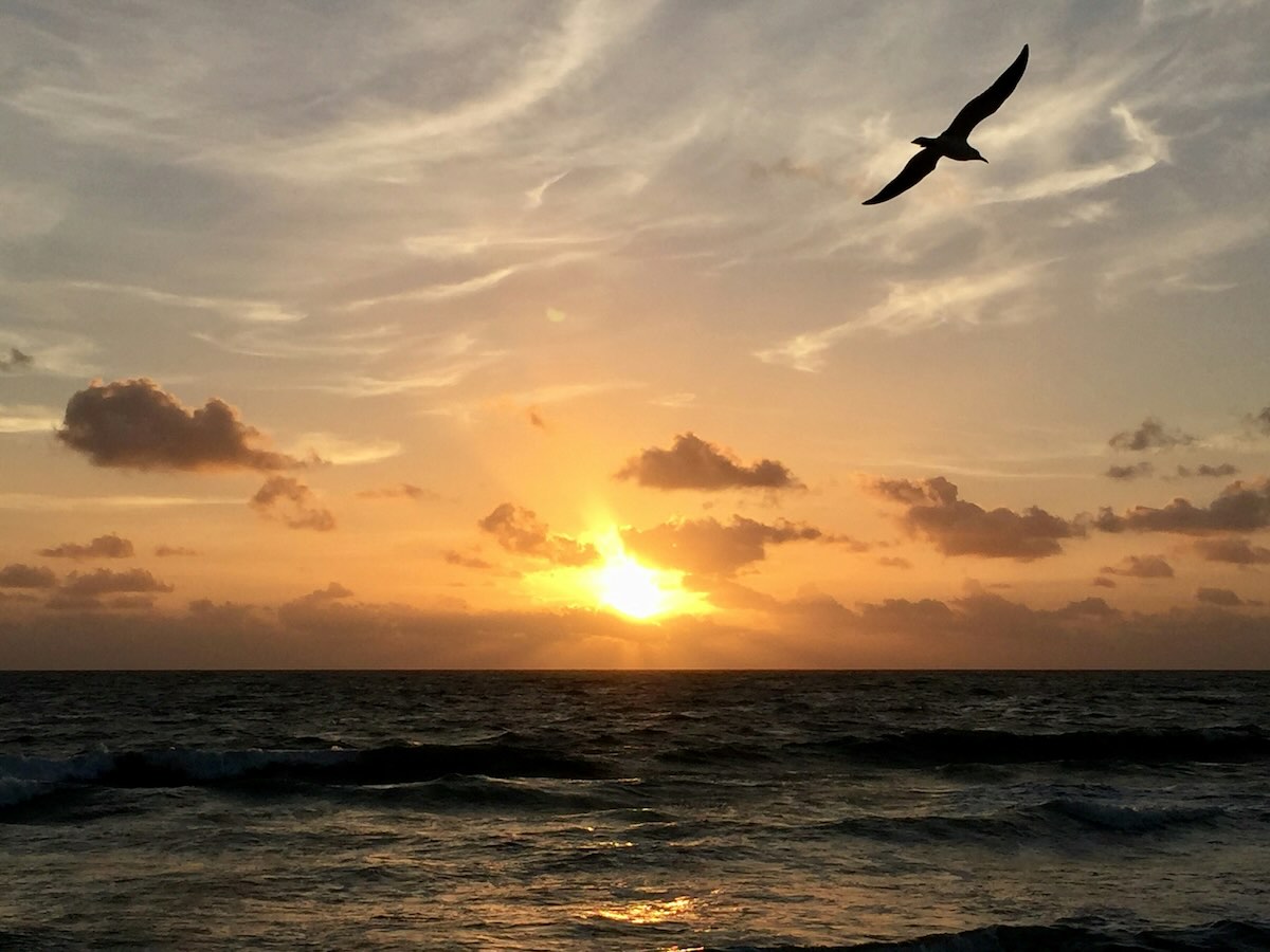 True Freedom Begins Within: Breaking Free from Subconscious Patterns