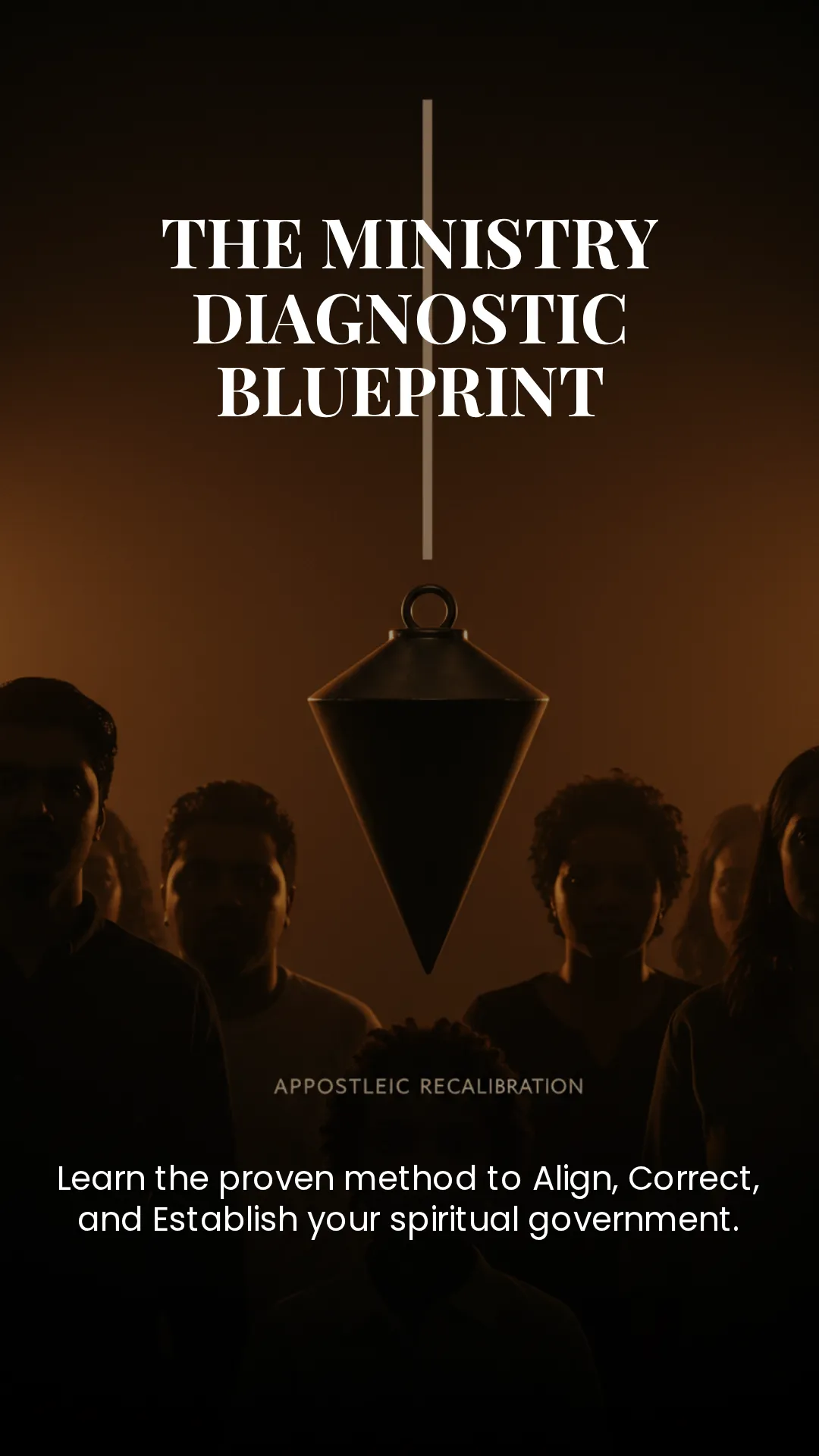 silhouette of people standing on highland during golden hours