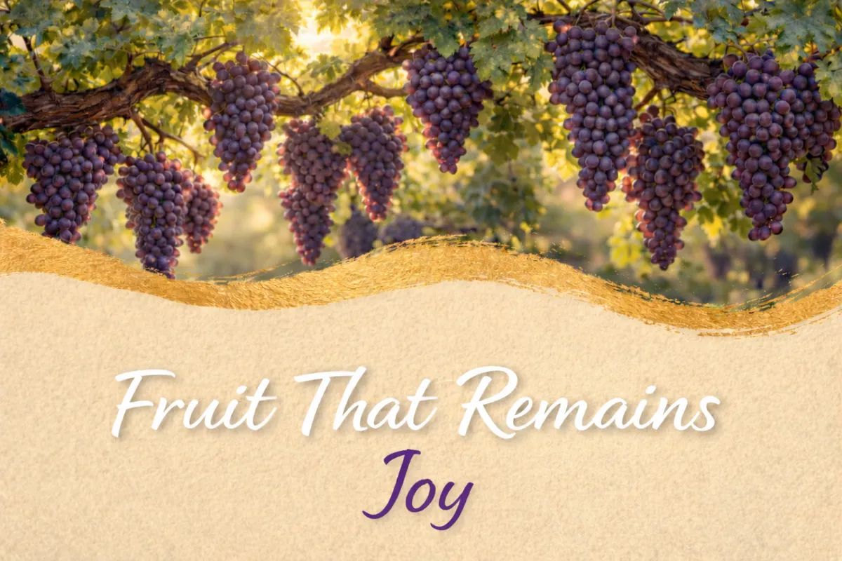 The Fruit of Joy