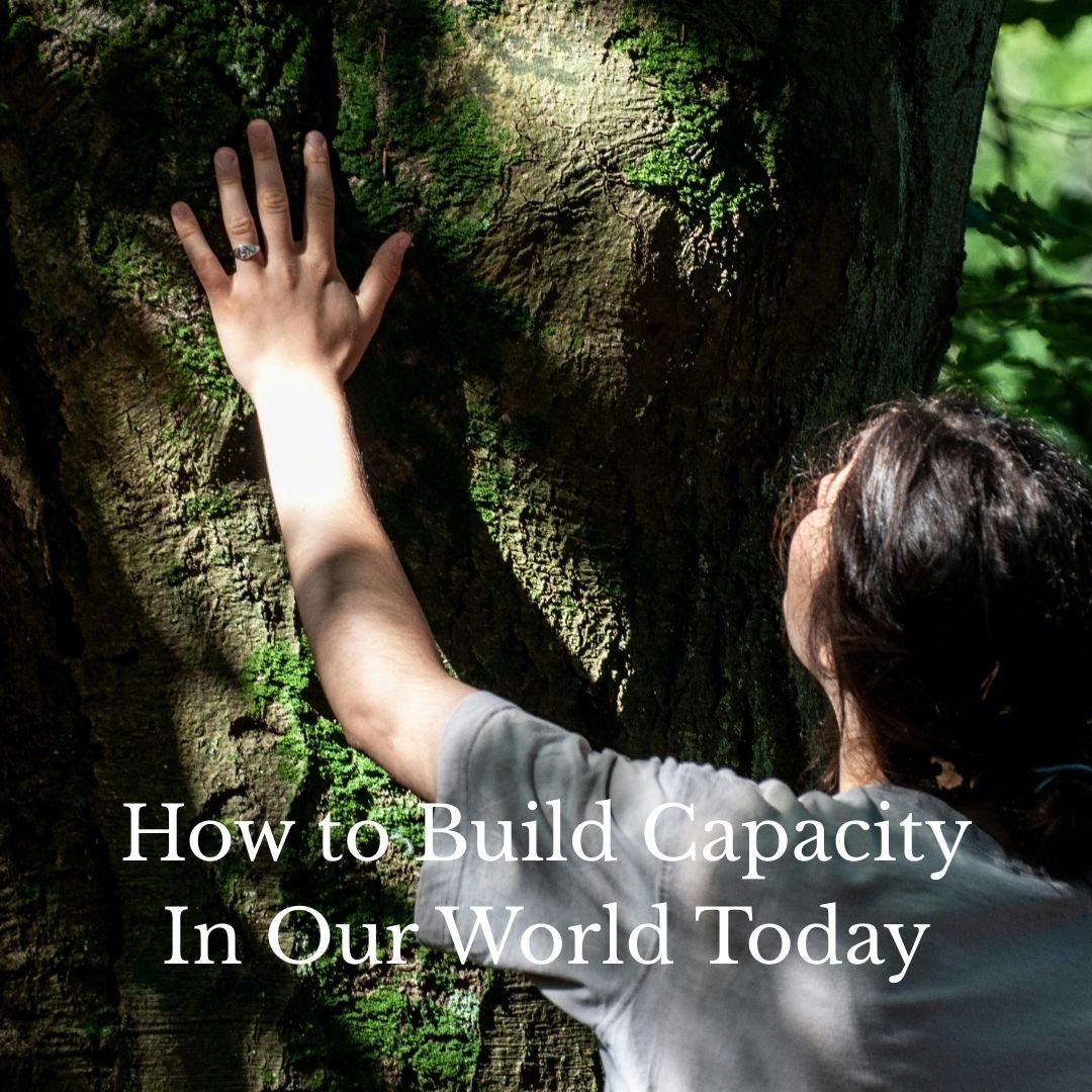 Build Capacity - Nervous System Support