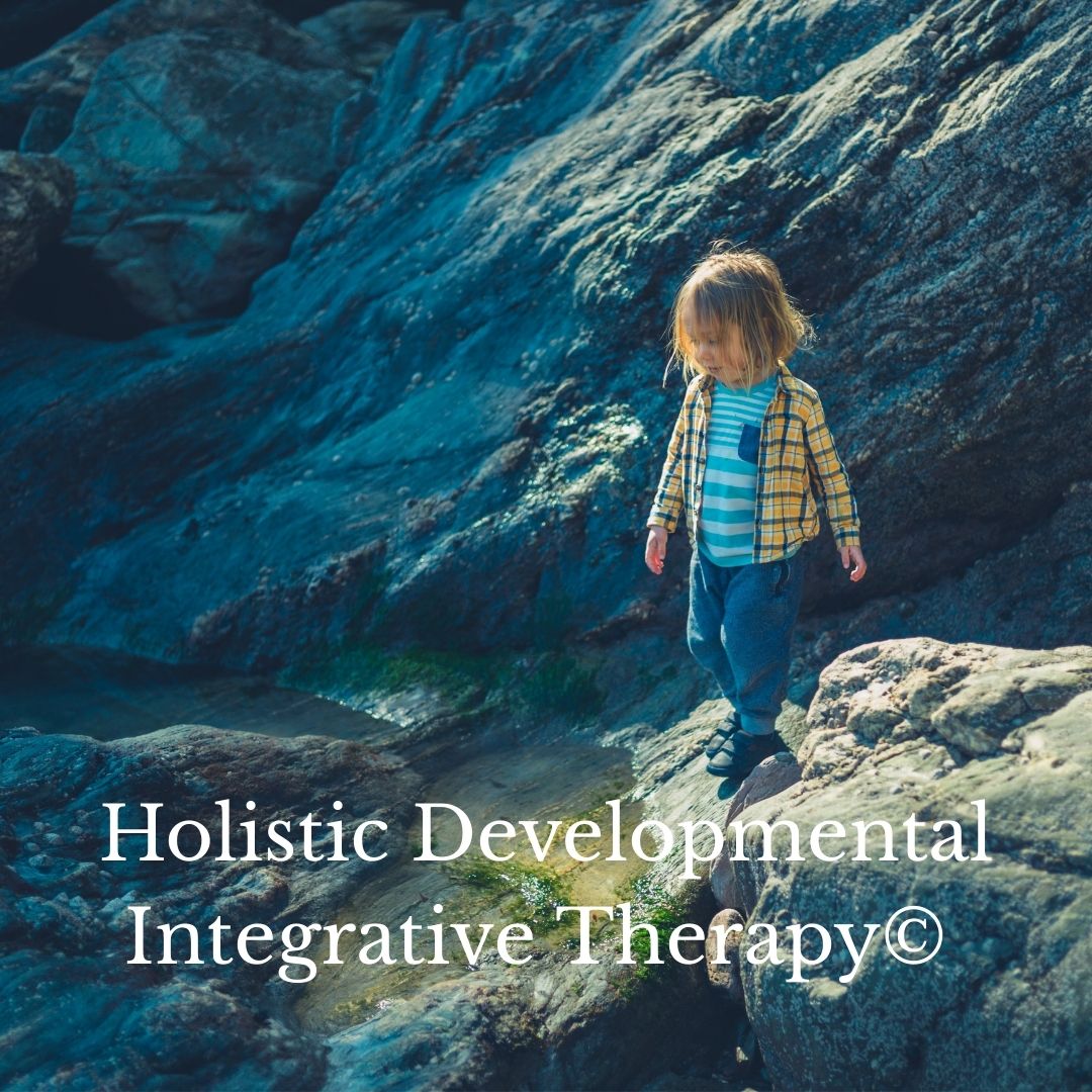Holistic Developmental Integrative Therapy©