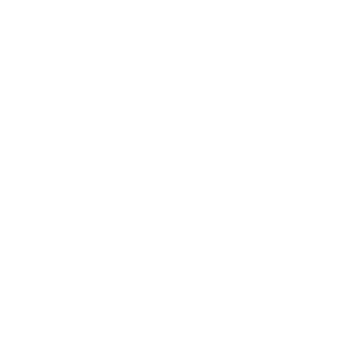 Star surrounded by laurel wreath icon