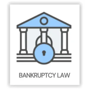 Bankruptcy Law Chapter 7