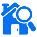 inspection icon