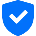 secure icon