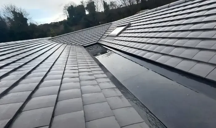 Rear view of a nice completed roof