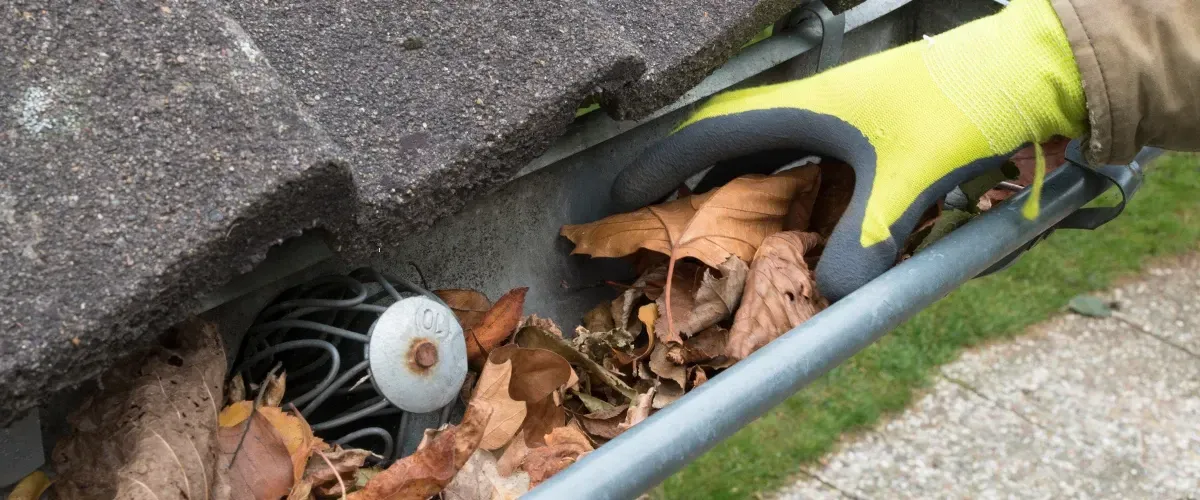 Person wearing gloves cleaning leaves and debris from a clogged roof gutter