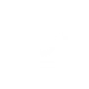 Follow the fun on Instagram